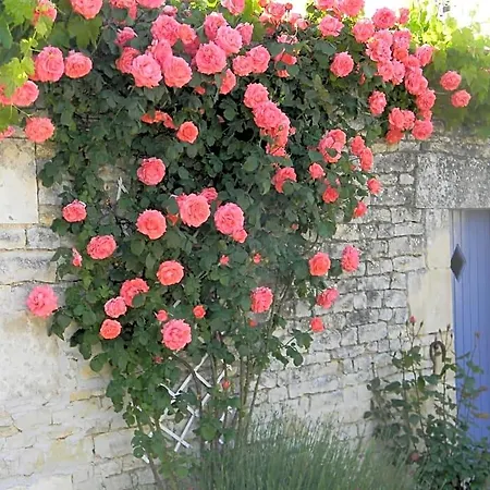 Bed & Breakfast Le Logis D'antigny