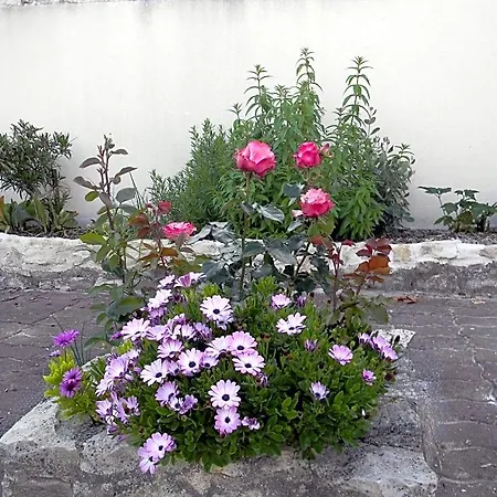Bed & Breakfast Le Logis D'antigny 3*