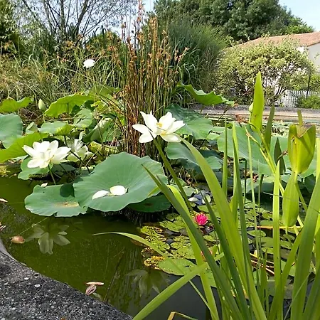 Bed & Breakfast Le Logis D'antigny Val-du-Mignon