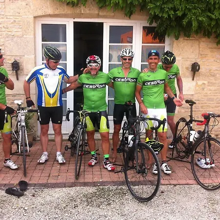 Le Logis D'antigny 3* Val-du-Mignon