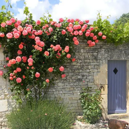 Frühstückspension Le Logis D'antigny 3*