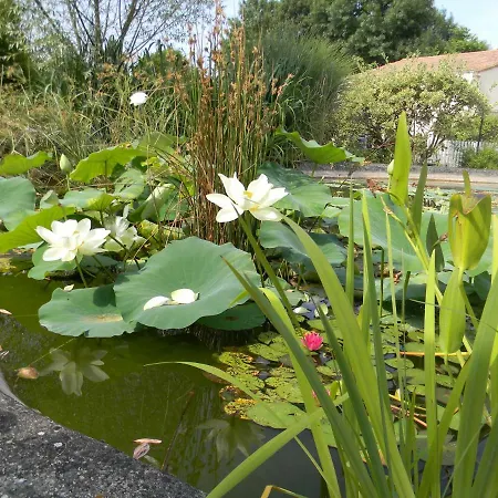 Nocleg ze śniadaniem Le Logis D'antigny