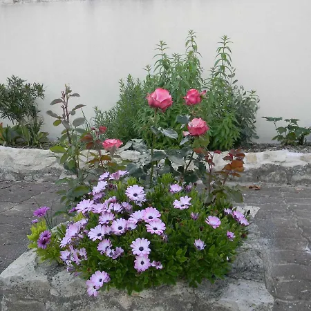 Nocleg ze śniadaniem Le Logis D'antigny Val-du-Mignon