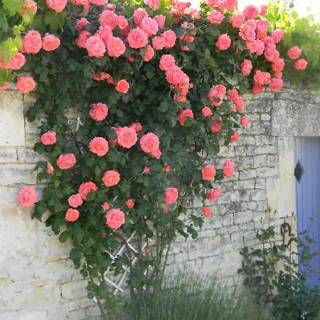 Le Logis D'antigny