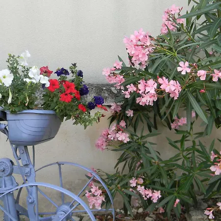 Le Logis D'antigny 3* Val-du-Mignon